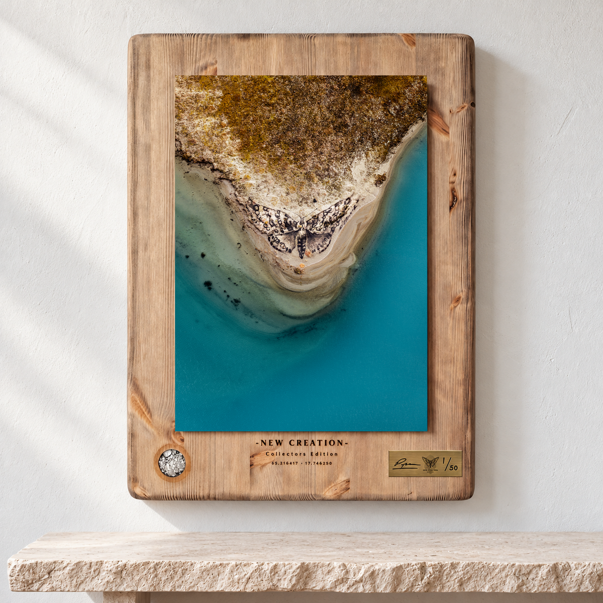 New Creation - Collectors Edition