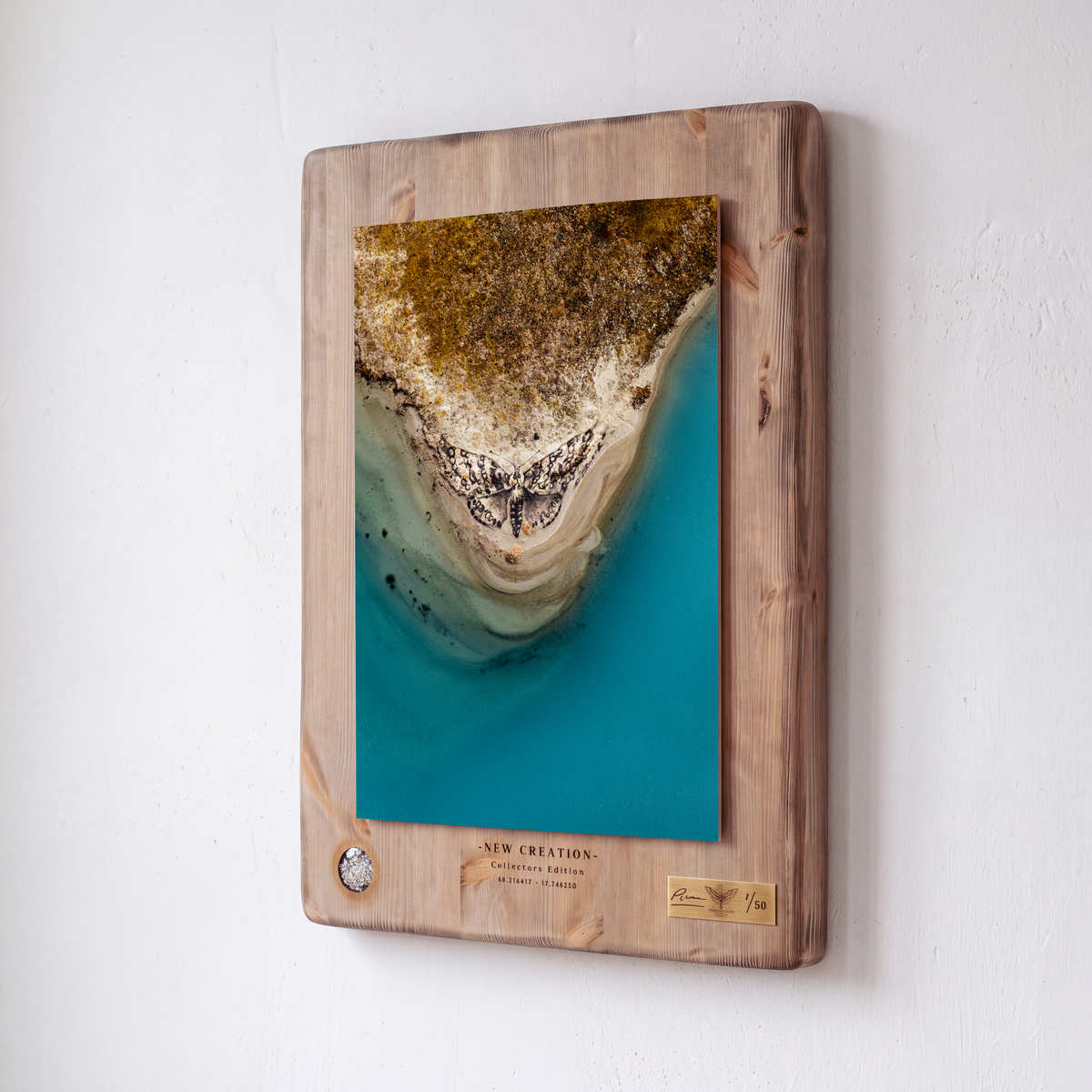 New Creation - Collectors Edition