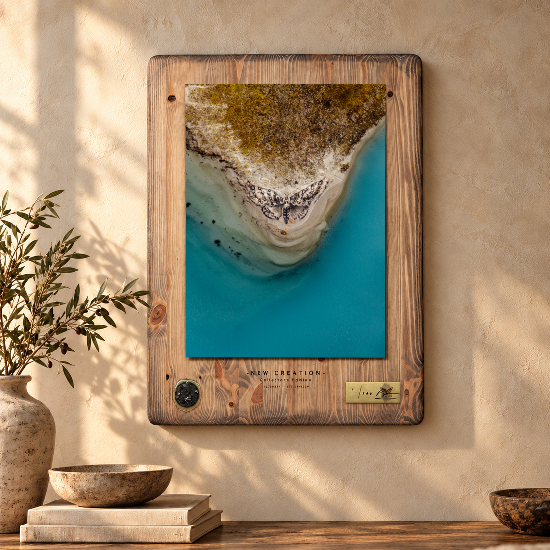 New Creation - Collectors Edition