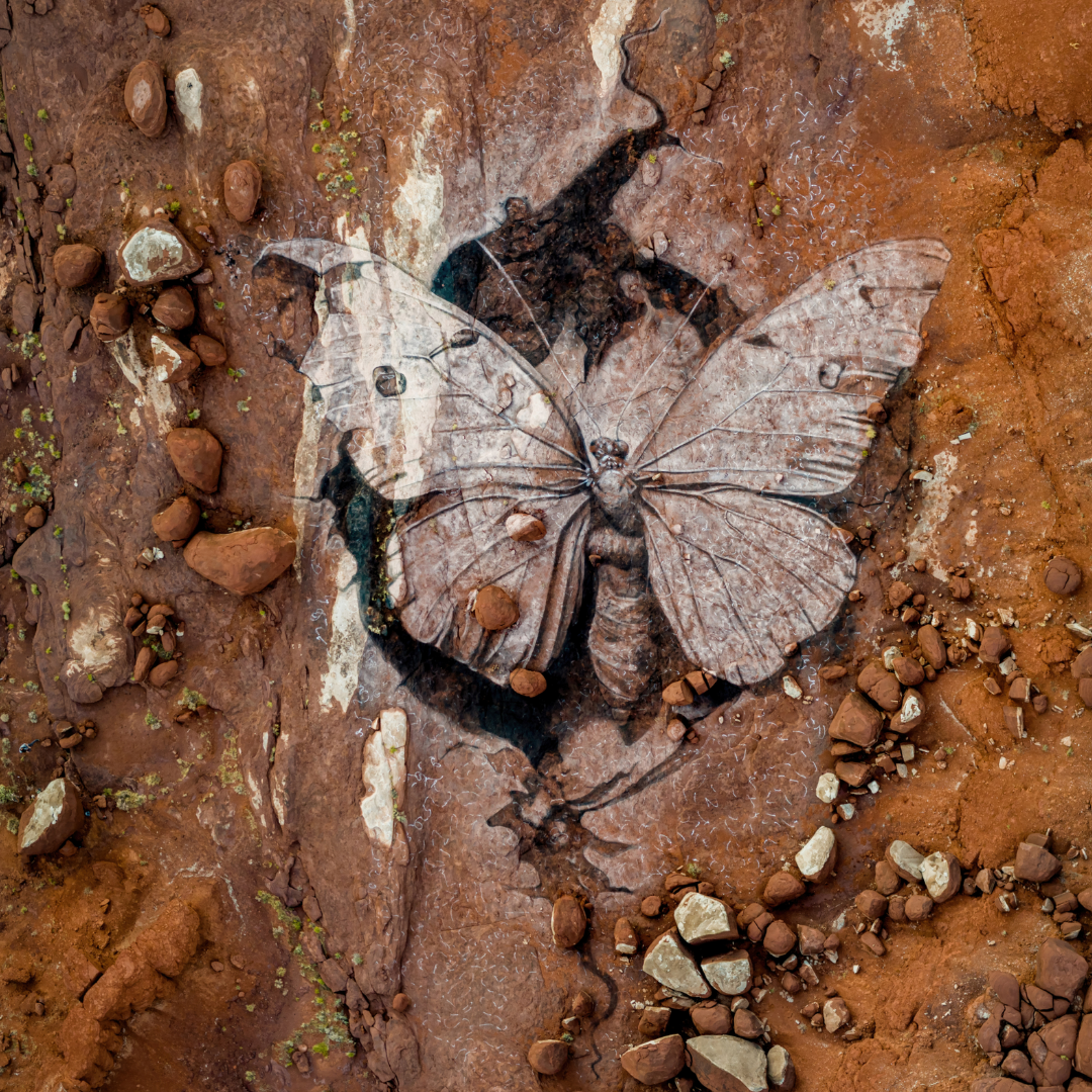 Desert Metamorphosis