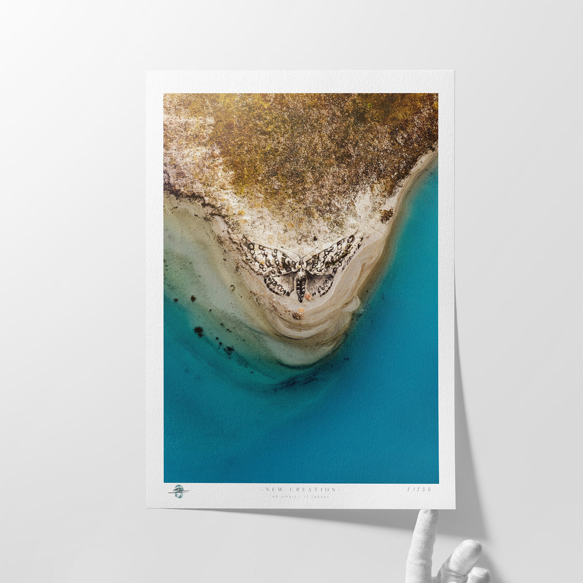 "New Creation" Limited Edition Print