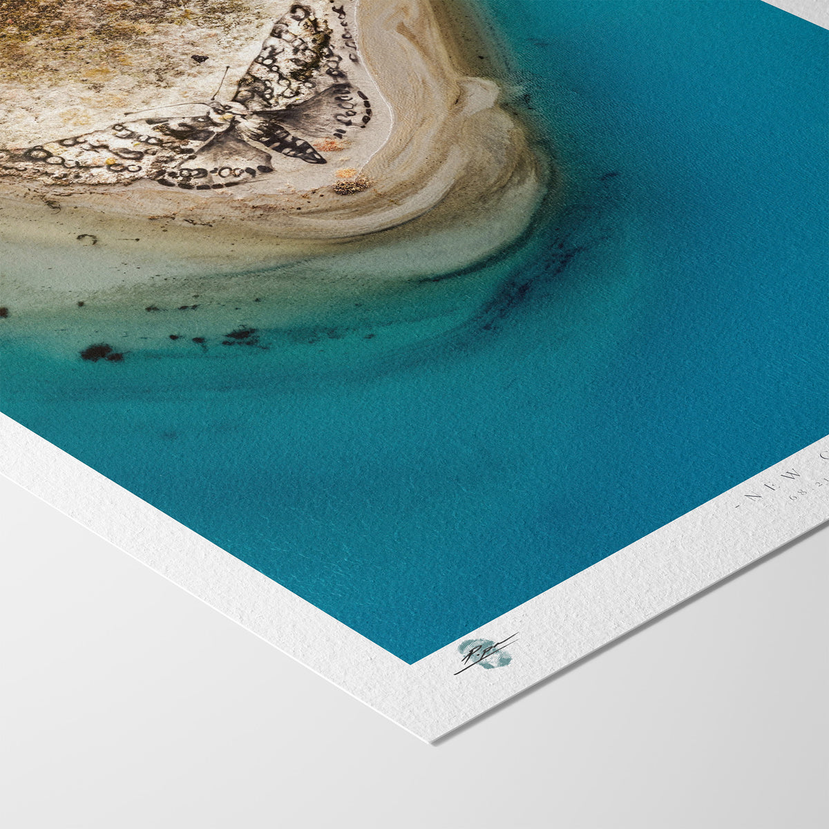 "New Creation" Limited Edition Print